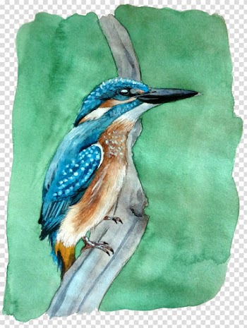 Watercolor painting Beak Fauna, painting transparent background PNG clipart