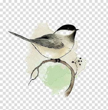 Watercolor painting Bird Art Drawing, Birds transparent background PNG clipart