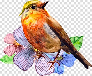 Watercolor painting Bird Art, painting transparent background PNG clipart