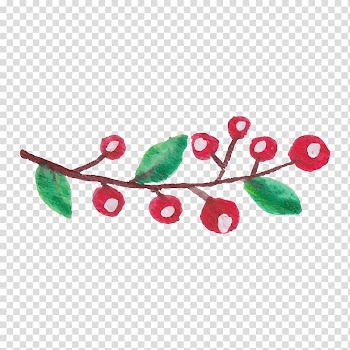 Watercolor painting Branch , Floral watercolor flowers transparent background PNG clipart