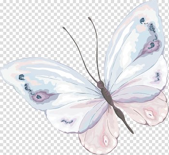 Watercolor painting Butterfly , butterfly transparent background PNG clipart