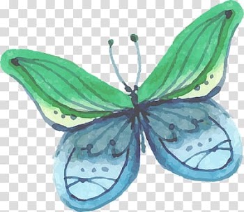 Watercolor painting , butterfly transparent background PNG clipart