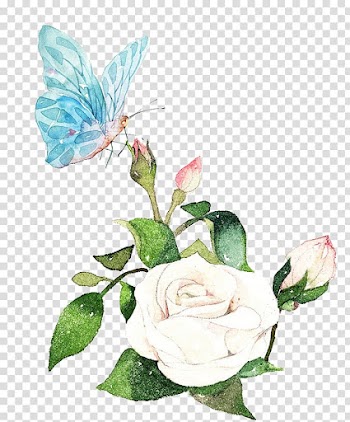 Watercolor painting , butterfly transparent background PNG clipart