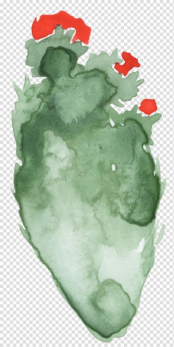 Watercolor painting Cactaceae , cactus transparent background PNG clipart