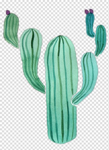 Watercolor painting Cactaceae Drawing, painting transparent background PNG clipart