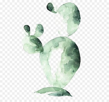 Watercolor painting Cactaceae Drawing Printmaking - cactus 