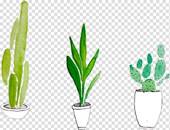 Watercolor painting Cactaceae Drawing Succulent plant, plant transparent background PNG clipart