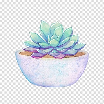 Watercolor painting Cactaceae Plant Idea, others transparent background PNG clipart