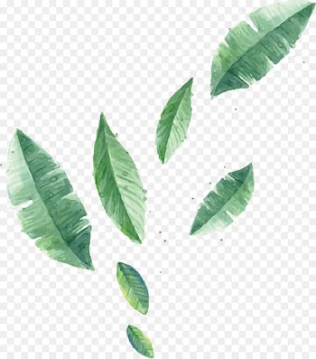 Watercolor painting Canvas Poster - Floating leaves 