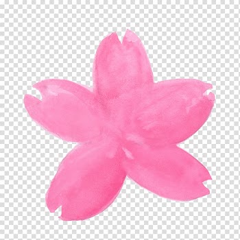 Watercolor painting Cherry blossom Illustration Drawing, cherry blossom transparent background PNG clipart