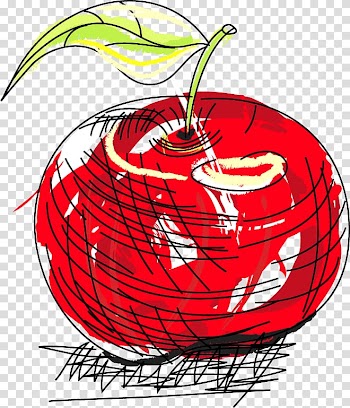 Watercolor painting, Cherry Drawing material transparent background PNG clipart