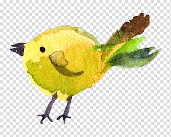 Watercolor painting , chick transparent background PNG clipart