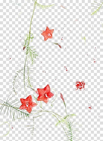 Watercolor painting Chinese art Illustration, Red star flower transparent background PNG clipart