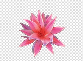 Watercolor painting Chinese painting, Lotus transparent background PNG clipart