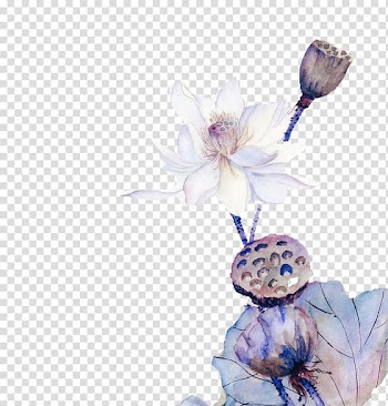 Watercolor painting Chinoiserie, Hand-painted lotus Ink transparent background PNG clipart