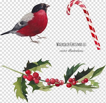 Watercolor painting Christmas Illustration, birds transparent background PNG clipart