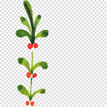 Watercolor painting Christmas plants , Hand-painted flowers,Beautiful,watercolor,Oil painting effect,Flowers,Leaves transparent background PNG clipart