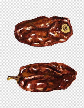 Watercolor painting Coconut, Dried red dates transparent background PNG clipart