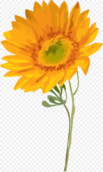 Watercolor painting Common sunflower - Watercolor sunflower 