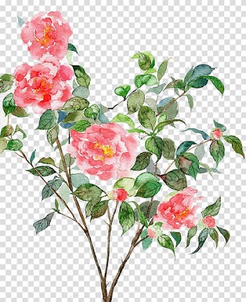 Watercolor painting Computer graphics Illustration, Watercolor flowers transparent background PNG clipart