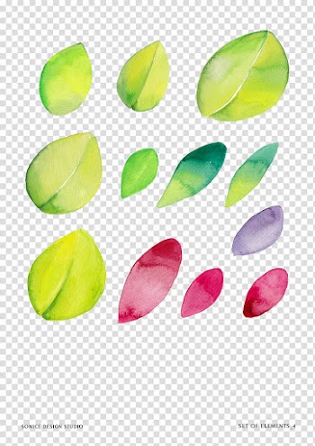 Watercolor painting , Creative painting flowers and floral material transparent background PNG clipart