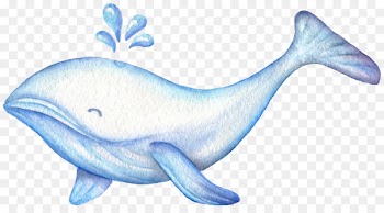 Watercolor painting Cuteness Illustration - Ink hand-painted fairy whale 