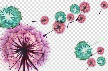 Watercolor painting Dandelion Illustration, Two-color dandelion transparent background PNG clipart