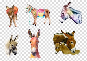 Watercolor painting Donkey, Hand-painted donkey transparent background PNG clipart