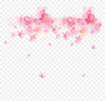 Watercolor painting Download Transparency and translucency - Pink watercolor flowers 