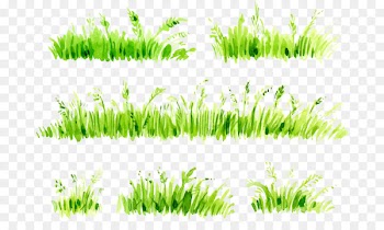 Watercolor painting Download - Watercolor painted grass 