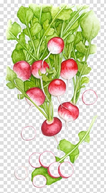 Watercolor painting Drawing Art, painting transparent background PNG clipart