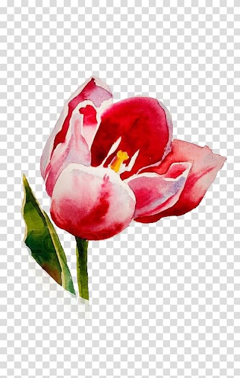 Watercolor painting Drawing Art, painting transparent background PNG clipart