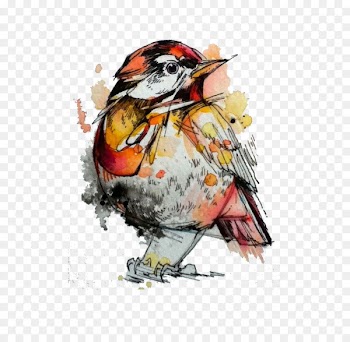 Watercolor painting Drawing Artist - Colored sparrow 