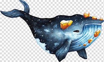 Watercolor painting Drawing Cetacea Speed painting, painting transparent background PNG clipart