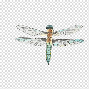 Watercolor painting Drawing, Creative hand-painted Dragonfly transparent background PNG clipart