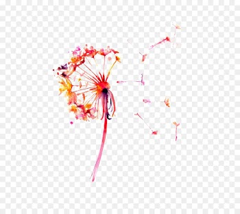 Watercolor painting Drawing Dandelion Printmaking - Dandelion 