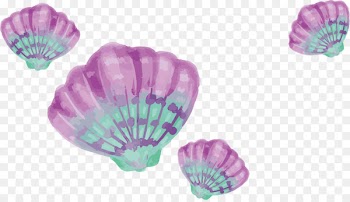 Watercolor painting Drawing Download - Watercolor purple shells 