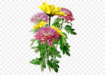 Watercolor painting Drawing Floral design Illustration -  