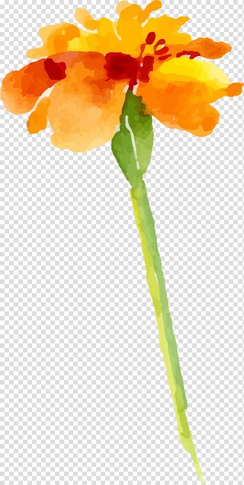 Watercolor painting Drawing Flower, Cartoon water color a flower transparent background PNG clipart