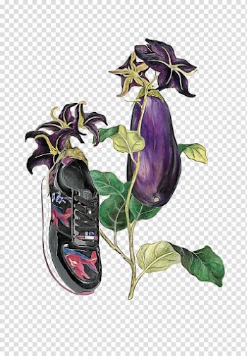 Watercolor painting Drawing Illustration, Creative painting eggplant transparent background PNG clipart