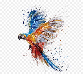 Watercolor painting Drawing Illustration - Hand colored parrot birds splash 