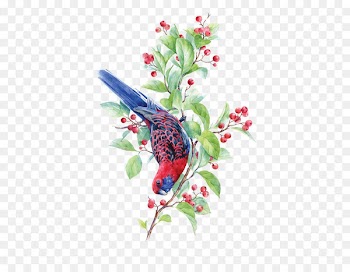 Watercolor painting Drawing Illustration - Hand-painted birds 