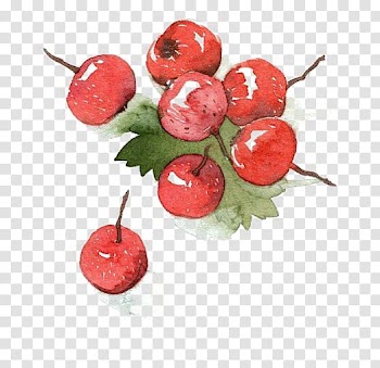 Watercolor painting Drawing Illustration, Hand-painted cherry transparent background PNG clipart
