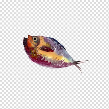 Watercolor painting Drawing Illustration, Water fish transparent background PNG clipart