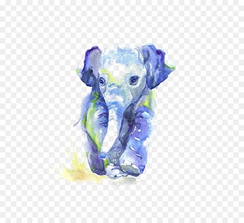Watercolor painting Drawing Infant Sketch - Watercolor Elephant 