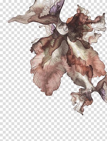 Watercolor painting Drawing Leaf, Drawing plant transparent background PNG clipart
