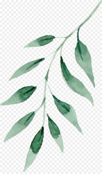 Watercolor painting Drawing Leaf - Fresh water, green leaves 