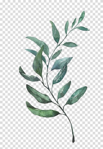 Watercolor painting Drawing Leaf Printmaking, Watercolor leaves, green leafed plant transparent background PNG clipart