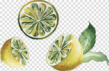 Watercolor painting Drawing Lemon, hand-drawn illustration lemon transparent background PNG clipart