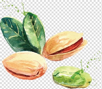 Watercolor painting Drawing Nut Illustration, Pistachios transparent background PNG clipart